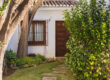 summer curb appeal home exterior with landscaping and fresh paint